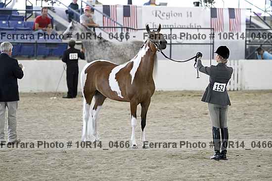 Proof 10r14_0466