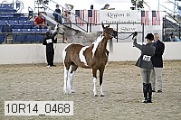 10r14_0468 proof