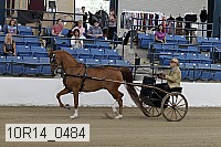 10r14_0484 proof