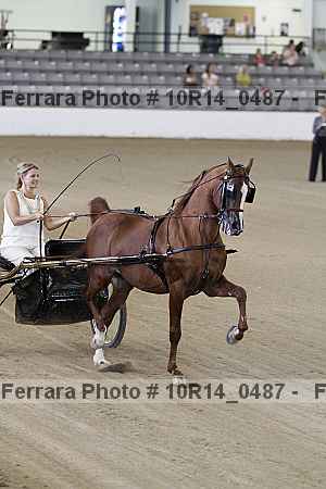 Proof 10r14_0487