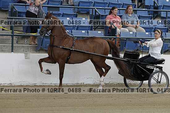 Proof 10r14_0488