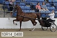 10r14_0488 proof