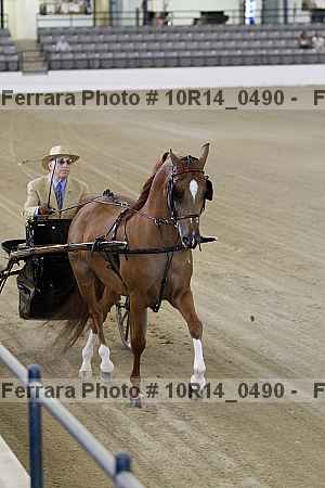 Proof 10r14_0490