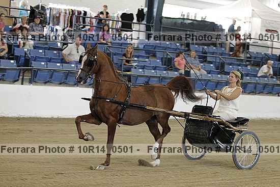 Proof 10r14_0501