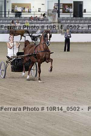 Proof 10r14_0502