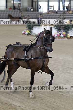 Proof 10r14_0504