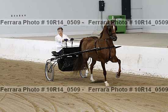 Proof 10r14_0509