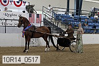 10r14_0517 proof