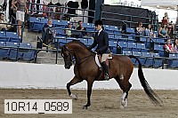 10r14_0589 proof