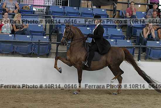 Proof 10r14_0646