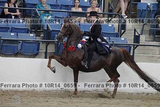 Proof 10r14_0659