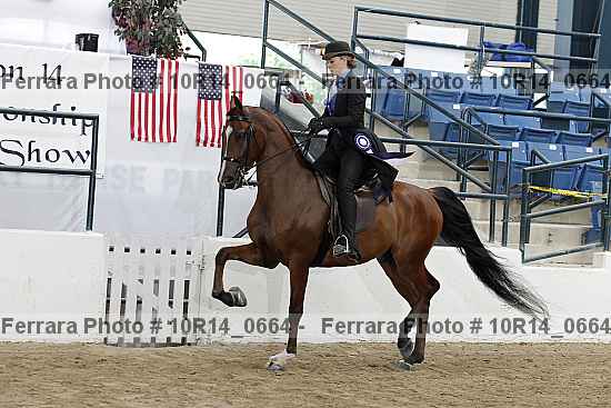 Proof 10r14_0664
