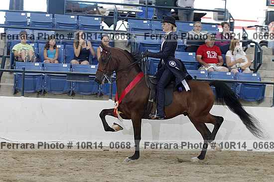 Proof 10r14_0668