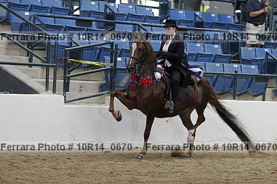 Proof 10r14_0670
