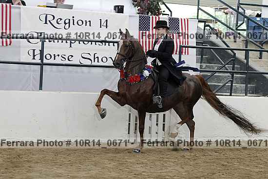 Proof 10r14_0671