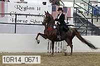 10r14_0671 proof