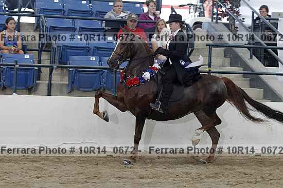 Proof 10r14_0672