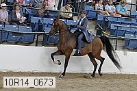 10r14_0673 proof