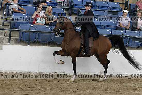 Proof 10r14_0675