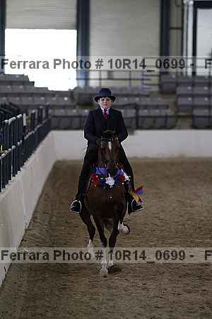 Proof 10r14_0699