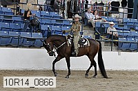 10r14_0866 proof