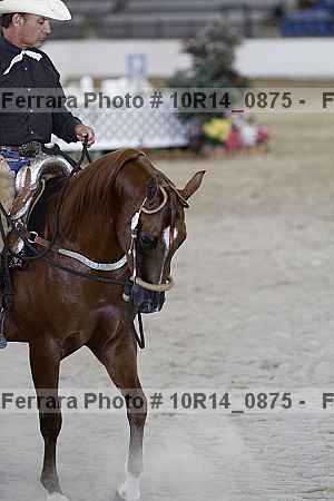 Proof 10r14_0875