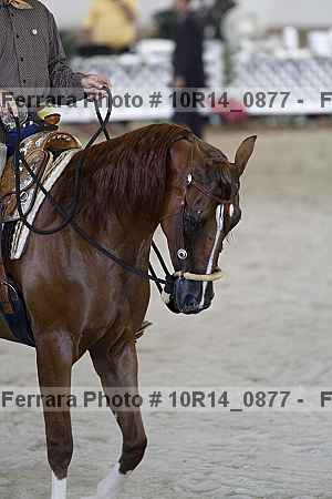 Proof 10r14_0877