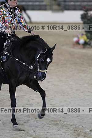 Proof 10r14_0886