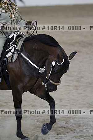 Proof 10r14_0888