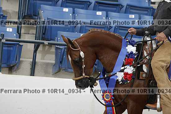 Proof 10r14_0934