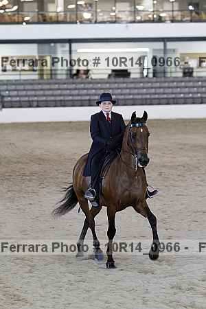 Proof 10r14_0966