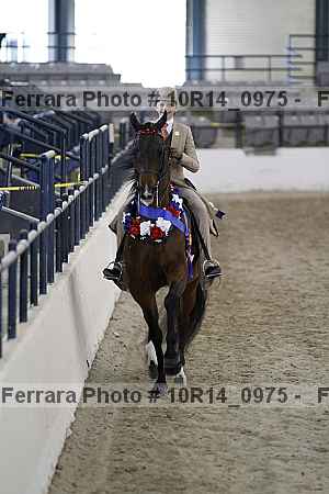 Proof 10r14_0975