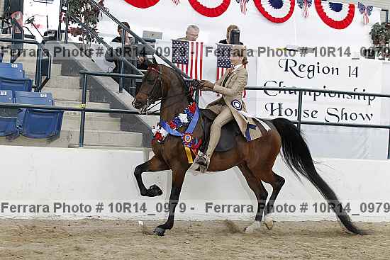 Proof 10r14_0979