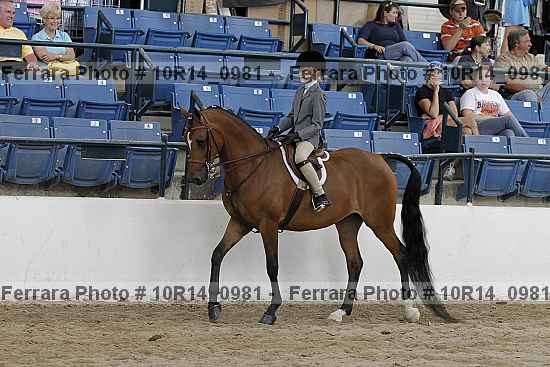 Proof 10r14_0981