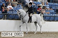 10r14_0982 proof