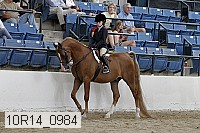 10r14_0984 proof