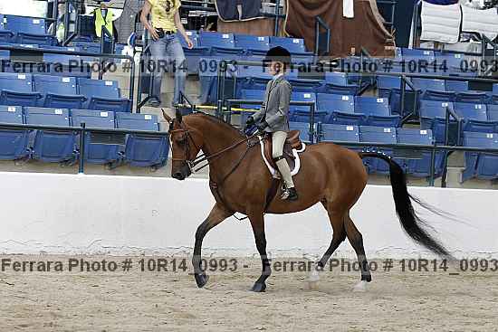 Proof 10r14_0993
