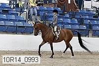 10r14_0993 proof