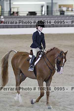 Proof 10r14_0995