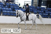 10r14_1002 proof