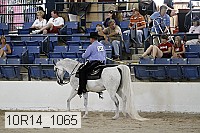 10r14_1065 proof