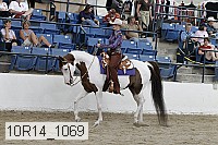 10r14_1069 proof
