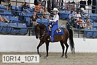10r14_1071 proof