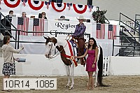 10r14_1085 proof