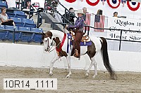 10r14_1111 proof