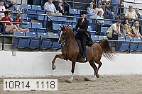 10r14_1118 proof