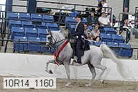 10r14_1160 proof