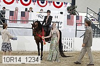 10r14_1234 proof