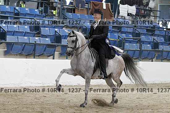 Proof 10r14_1237