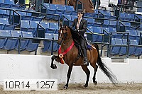 10r14_1257 proof